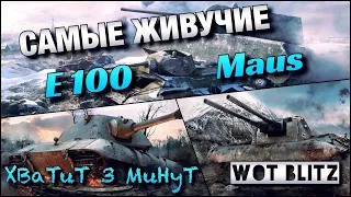 🔴WoT Blitz | КАКОЙ ТТ КАЧАТЬ ПЕРВЫМ⁉️|🔥E 100 vs Maus🔥