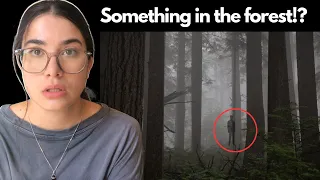 A forest so EVIL, it's ILLEGAL to enter | Mrballen reaction