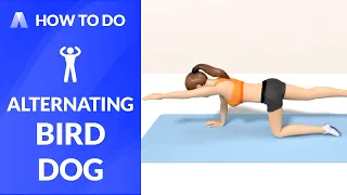 How to Do: ALTERNATING BIRD DOG