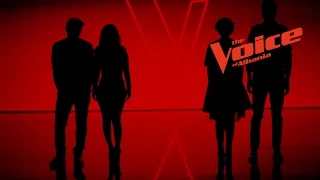 The Voice of Albania 6, nga 27 Janari ne Top Channel, Promo 1