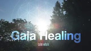 Gaia Healing 🌳 Slow Shaman Drum & RAV : Tantra Music : Solar Plexus Chakra Meditation