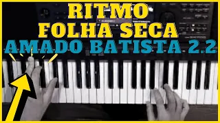 Ritmo Amado Batista 2.2 | Folha Seca/Princesa | S650 750 950 710 910 670 770 970 SX600 SX700 SX900