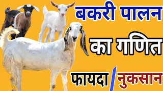 बकरी पालन का गणित 👍फायदा या नुकसान 😍 Goat Farming Profit and Loss आज तक का सबसे शानदार #video #goat