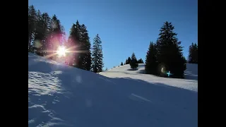 Skitour Daniel März 2019 Ammergauer Alpen