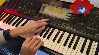 "Dream Lover"   Bobby Darin    🧡    Twist style  +  organ sound    Yamaha PSR-630    Keyboard Cover.