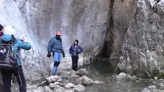 VALLE DE LOS TEJOS MILENARIOS (SIERRA DE CAZORLA)