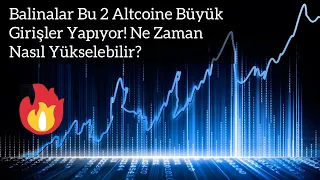 Balinalar Bu 2 Altcoine Büyük Girişler Yapıyor! Ne Zaman Nasıl Yükselebilir? | Kripto Haber.