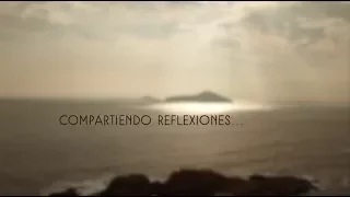 Compartiendo reflexiones - 13 El pollino atado a la vid