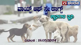 Voice of Stray Dogs | Special Program | 18.05.2024 | 9:30PM | DD Chandana