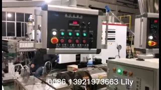 PVC ceiling panel machine with online hot stamping