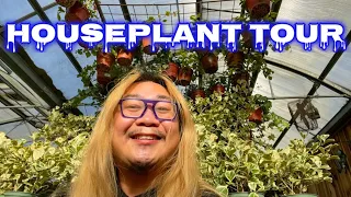 Shopping for Houseplants | HUGE Beauties at this Nursery!