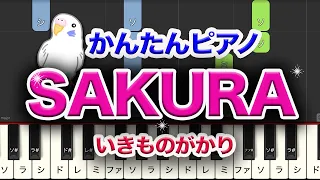 SAKURA　いきものがかり　簡単ピアノ