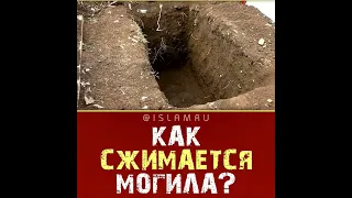 Как сжимается могила?