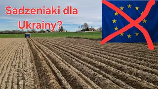 Ziemniaki 2024 Sadzeniaki idą na Ukrainę ? jak Unia niszczy Europejskie Rolnictwo ?