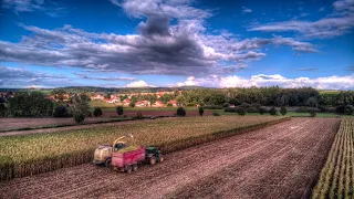 🌽Sklizeň kukuřice - siláž - Lišany u Rakovníka - 2022