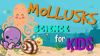 What is a Mollusk? Invertebrates animals | Science for Kids
