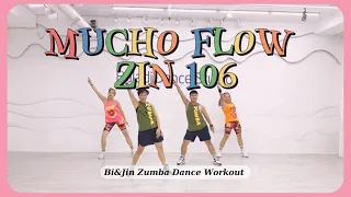 MUCHO FLOW ZUMBA | ELECTRO LATINO - ZIN 106 | LLEGALES | BIJIN ZUMBA DANCE WORKOUT