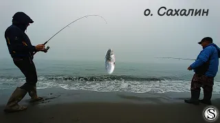 Рыбалка на Сахалине🐬🐠🐟