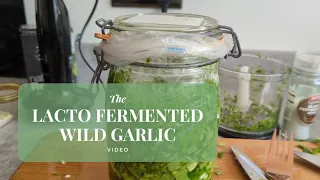 💥 Tangy Lacto-Fermented Wild Garlic Recipe! Ferment & Flavour:  🌿🔥