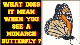 WHAT DOES IT MEAN WHEN YOU SEE A MONARCH BUTTERFLY ?