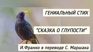 Гениальный стих. И.Франко  Сказка о глупости в переводе С.Я.Маршака