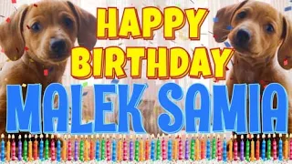 Happy Birthday Malek Samia! ( Funny Talking Dogs ) What Is Free On My Birthday