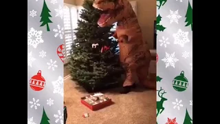 TRex can't reach to decorate the tree. Rage ensues.