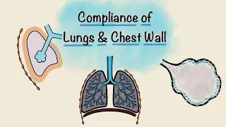 Lung and Chest wall Compliance | Breathing Mechanics | Respiratory Physiology