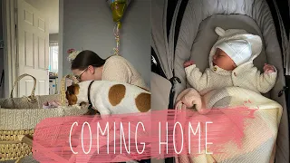 Bringing Our Baby Girl Home | Meeting Our Dog For The First Time | Moo