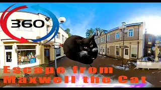 360 Video VR | Escape from Maxwell the Cat