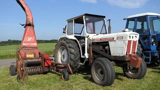 David Brown 1200 Selectamatic chopping Grass w/ JF FC80 | Getting the job Done | DK Agriculture