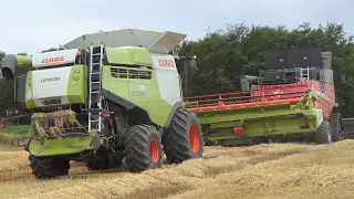 Claas Lexion 770 threshing winter barley during light rain | Harvest 2020 | Danish Agriculture