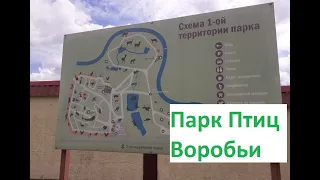 Парк Птиц "Воробьи" после самоизоляции