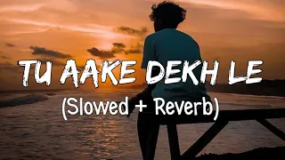 Tu Aake Dekh Le [Slowed+Reverb] King |Indian Lofi Music