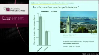 Benoit Gesling - Impact de la fragmentation des habitats et de l’urbanisation sur les pollinisateurs