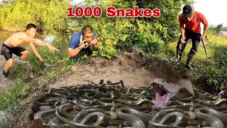 QUYEN FISHING129 | 3 brave hunters tracked down the mother snake and caught 1000 baby snakes.