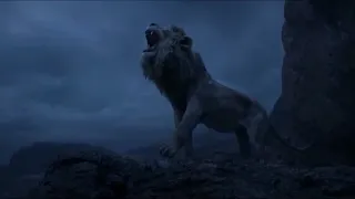 The Lion King Simba's Ending Scene Lion Roars | HD(1080p) Video