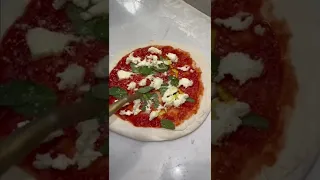 Neapolitan Pizza By A Pro | The Golden Balance