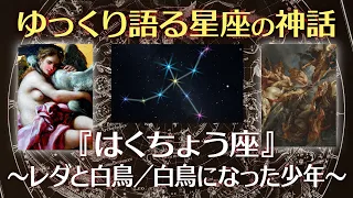 はくちょう座の神話〜レダと白鳥／白鳥になった少年〜【ゆっくり語る星座の神話】【寝落ち動画】