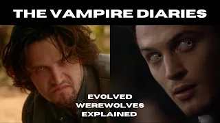 Evolved Werewolves Explained - Creature of The Vampire Diaries & The Originals