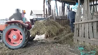 Ganézás traktoros trágyavillával | Zetor 2511 |