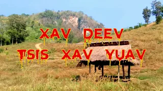 Xav Deev Tsis Xav Yuav