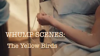 WHUMP SCENES || The Yellow Birds