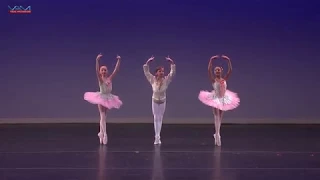 Art Ballet Academy -  Dance of the Mirlitons