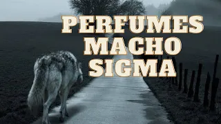 O Macho Sigma ( aká - lobo solitário ) e sua relação com a perfumaria #perfumepill