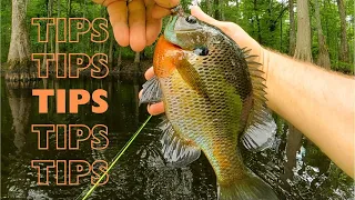 Summer bream fishing tips - rod and reel panfish fishing