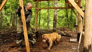 Build your second wooden house in the forest with your smart dog l Life The Jungle