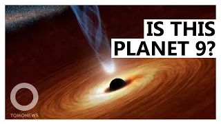 Is Planet Nine a Black Hole?