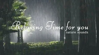 The sound of powerful rain falling on the emperor tree, heavy rain, thunder, insomnia. sleep asmr