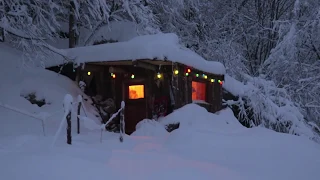 Semi underground cabin & music studio alone in the woods.